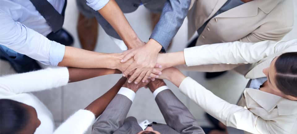Executive team