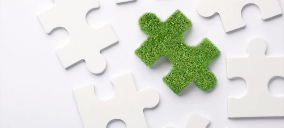 A diverse green energy plan